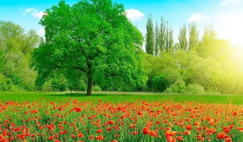 Azərbaycanda avqustun 21-nə gözlənilən hava şəraiti açıqlanıb