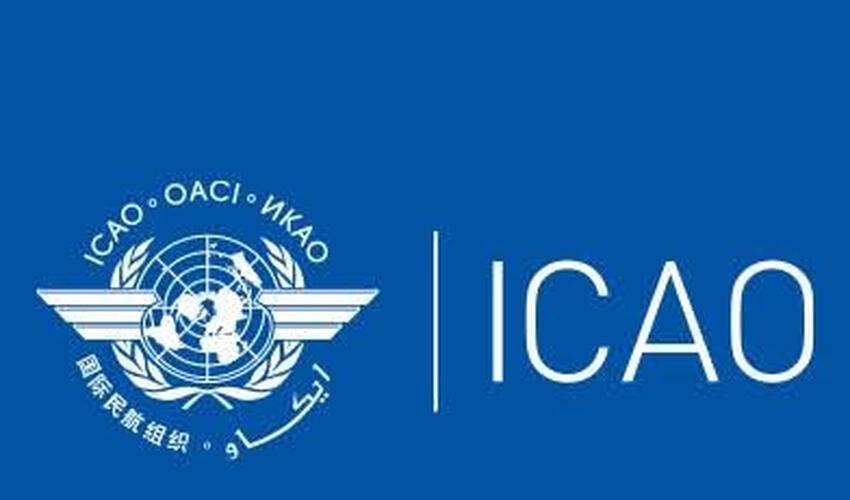 ICAO Ukraynanın müraciətindən sonra mülki təyyarələrin müdafiəsinə çağırıb