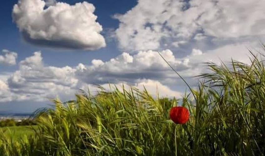 Sabah arabir yağış yağacaq, qısamüddətli leysan olacaq