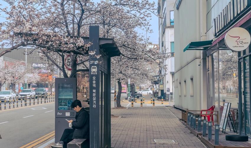 İnterpol tərəfindən axtarılan on doqquz Özbəkistan vətəndaşı Cənubi Koreyada gizlənir