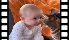 Günün videosu