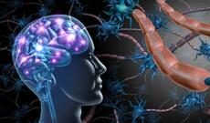 Yaxın gələcəkdə parkinson, epilepsiya və görmə qabiliyyətinin bərpası mümkün olacaq