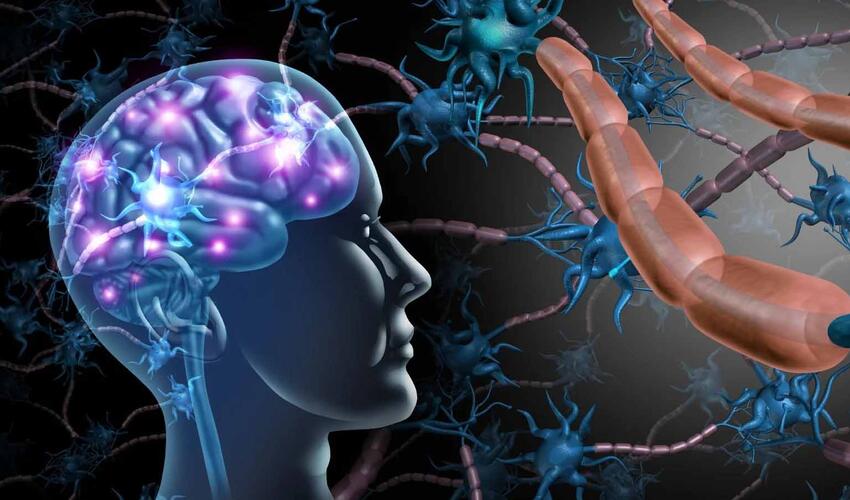 Yaxın gələcəkdə parkinson, epilepsiya və görmə qabiliyyətinin bərpası mümkün olacaq