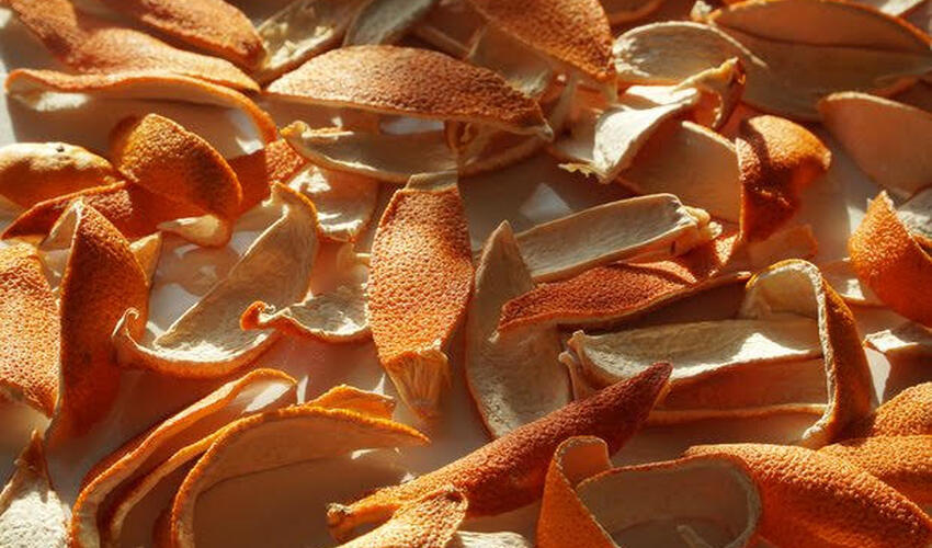 Alkoqolun qaraciyərə təsirindən qoruyan vasitə aşkar edilib