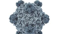 ABŞ-da bir şəxsə süni intellektdən istifadə edərək yaradılmış virus qəsdən vurulub