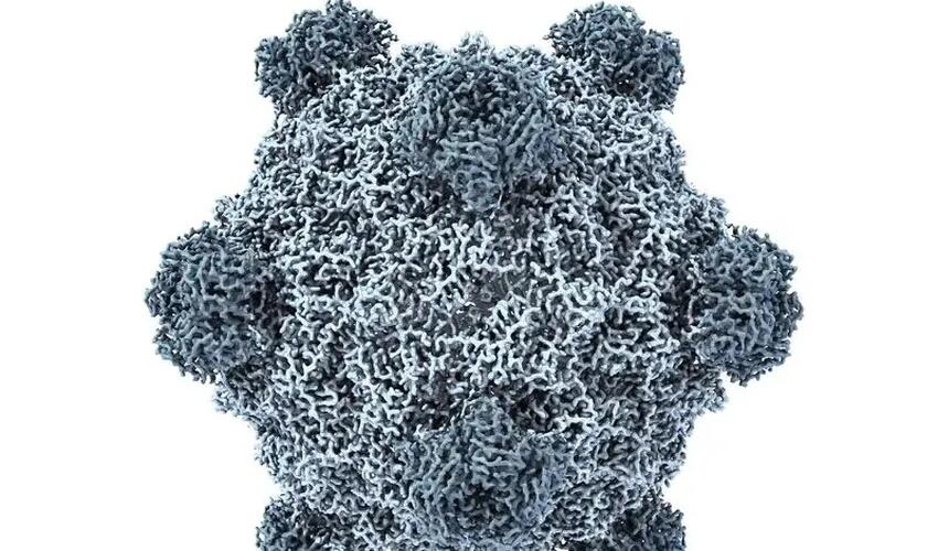 ABŞ-da bir şəxsə süni intellektdən istifadə edərək yaradılmış virus qəsdən vurulub