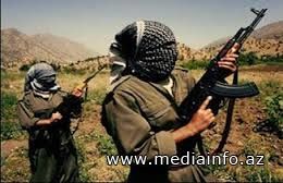 Sərhəddə silahlı insident: 7 terrorçu məhv edilib