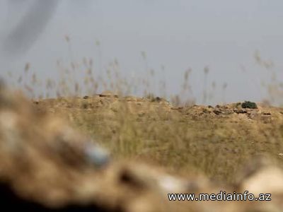 Ermənistan sərhəddini keçmək istəyən şəxs yaxalandı