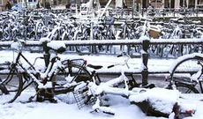 Nadir Qafarzadə: "Maral Tahirqızı özünü gicliyə qoyub!"