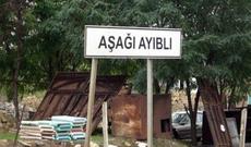 Azərbaycanın 17 rayonunda kənd adları dəyişdiriləcək