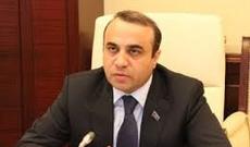 Azay Quliyev: “Elnarə Tofiqqızının ölümünə səbəb olan həkimə ağır cəza verilməliydi”