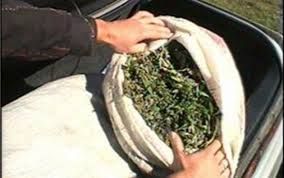 Bir kiloqram narkotiklə tutuldu