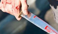 Oteldə əmisi qızını öldürənin işi ekspertizaya göndərildi