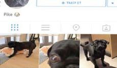 İrem Derici boşanır