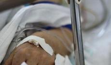 Səhiyyə Nazirliyi Azərbaycanda quduzluğun qeydə alınması ilə bağlı açıqlama verib