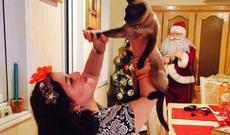 Elzadan ölən pişiyi barədə ŞOK SÖZLƏR: “Namuslu idi"