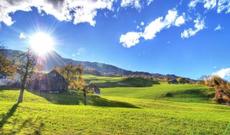 Nura Suri həmkarı Miri Yusiflə  barışmayacaq