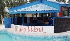 Elnarədən növbəti qalmaqallı açıqlama-VİDEO