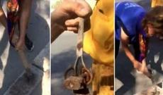 Azərbaycanlı müğənninin evindən cadu tapıldı (VİDEO)