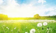 Nazirlik rəsmisi: “Yüksək temperatur proqnozlaşdırırıq”