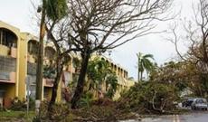 Qasırğa bir ölkədə 4600 nəfərin ölümünə səbəb olub