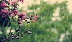 Sabah hava buludlu olacaq, bəzi yerlərdə leysan yağacaq