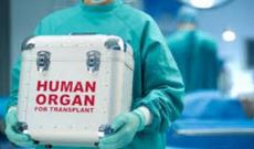 Azərbaycanda bu orqanların transplantasiyasına icazə veriləcək