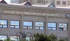 Nazirlik meşə qıranlara qarşı qəti və barışmaz mübarizəni davam etdirəcək