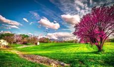 Azərbaycanda istilər davam edəcək