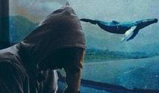 Uşaqların ölümünə səbəb olan oyunun qurucusu tutuldu