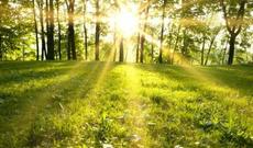 Sabah Azərbaycan ərazisində 38-40 dərəcə istilik gözlənilir