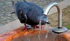 Gələn ay Azərbaycanda 38-42 dərəcə isti gözlənilir