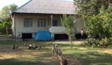 Ucarda ailə ilanlara görə evini tərk edib - Video