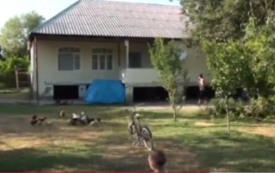 Ucarda ailə ilanlara görə evini tərk edib - Video
