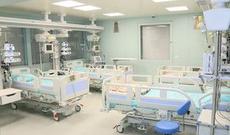 Gürcüstan prezidentinin kürəkəni reanimasiyadadır