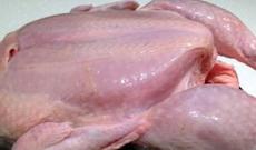 “Bu toyuqları alıb yeməyin!” - Kənd Təsərrüfatı Nazirliyindən XƏBƏRDARLIQ