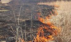 Abşeronda yaşıllıq ərazidə yanğın başlayıb- VİDEO