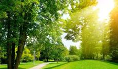 Sabah Bakıda30-32 dərəcə isti, rayonlarda yağış gözlənilir