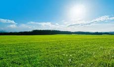 Sabah Bakıda 33-35, rayonlarda isə 35-40 dərəcə isti gözlənilir