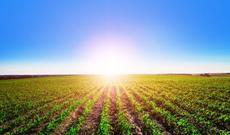 Sabah respublikamızın ərazisində isti hava şəraiti davam edəcək