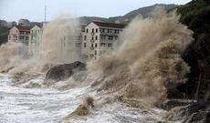 Yaponiyada güclü qasırğaya görə 377 təyyarə reysi təxirə salınıb