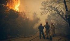 Yunanıstanda yanğınlarda şübhəli bilinən şəxs saxlanıldı