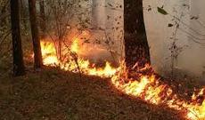 Hirkanda və Ağsu dolaylarında yanğın söndürüldü