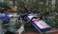 Tufan Çini dağıtdı – 134 mindən artıq insan təxliyə edilib