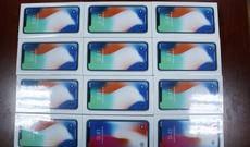 Gömrükdə qeyri-qanuni telefonlar aşkar edilib
