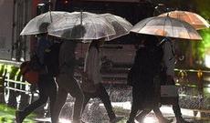 Yaponiyada "Şanşan" tayfununa görə 133 reys ləğv edilib