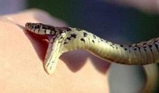 Şəkidə 63 yaşlı kişini ilan sancıb