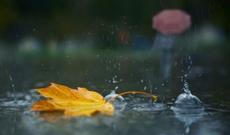 Güclü yağış Zaqatalada fəsadlar törətdi - Video