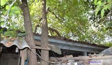 88 yaşlı məcburi köçkün çıxılmaz vəziyyətdə qalıb