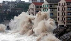 Yaponiyada qasırğa səbəbindən 300-dən çox aviareys ləğv olunub